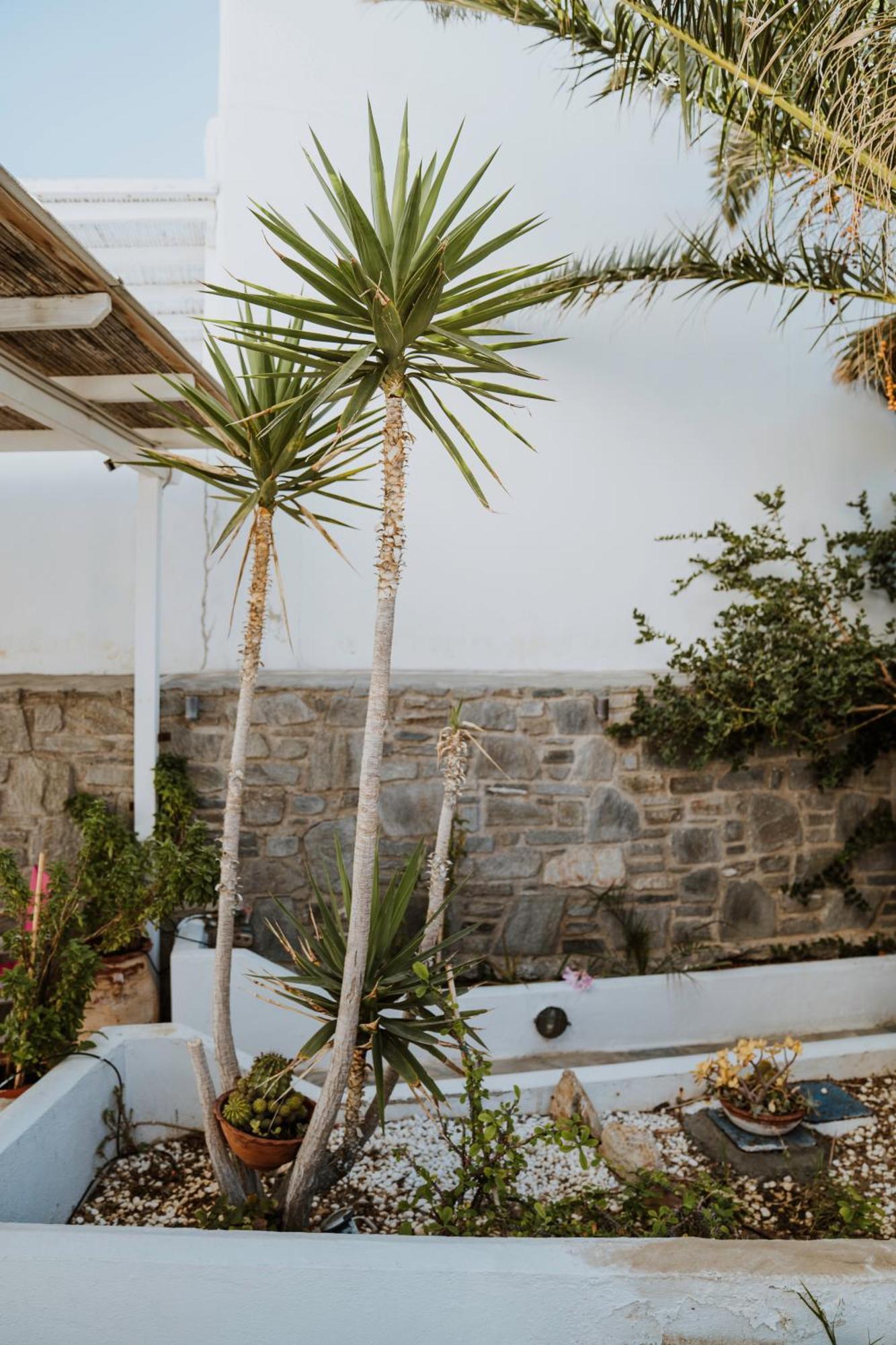 Bofor Studios & Rooms Λιβαδάκια Εξωτερικό φωτογραφία